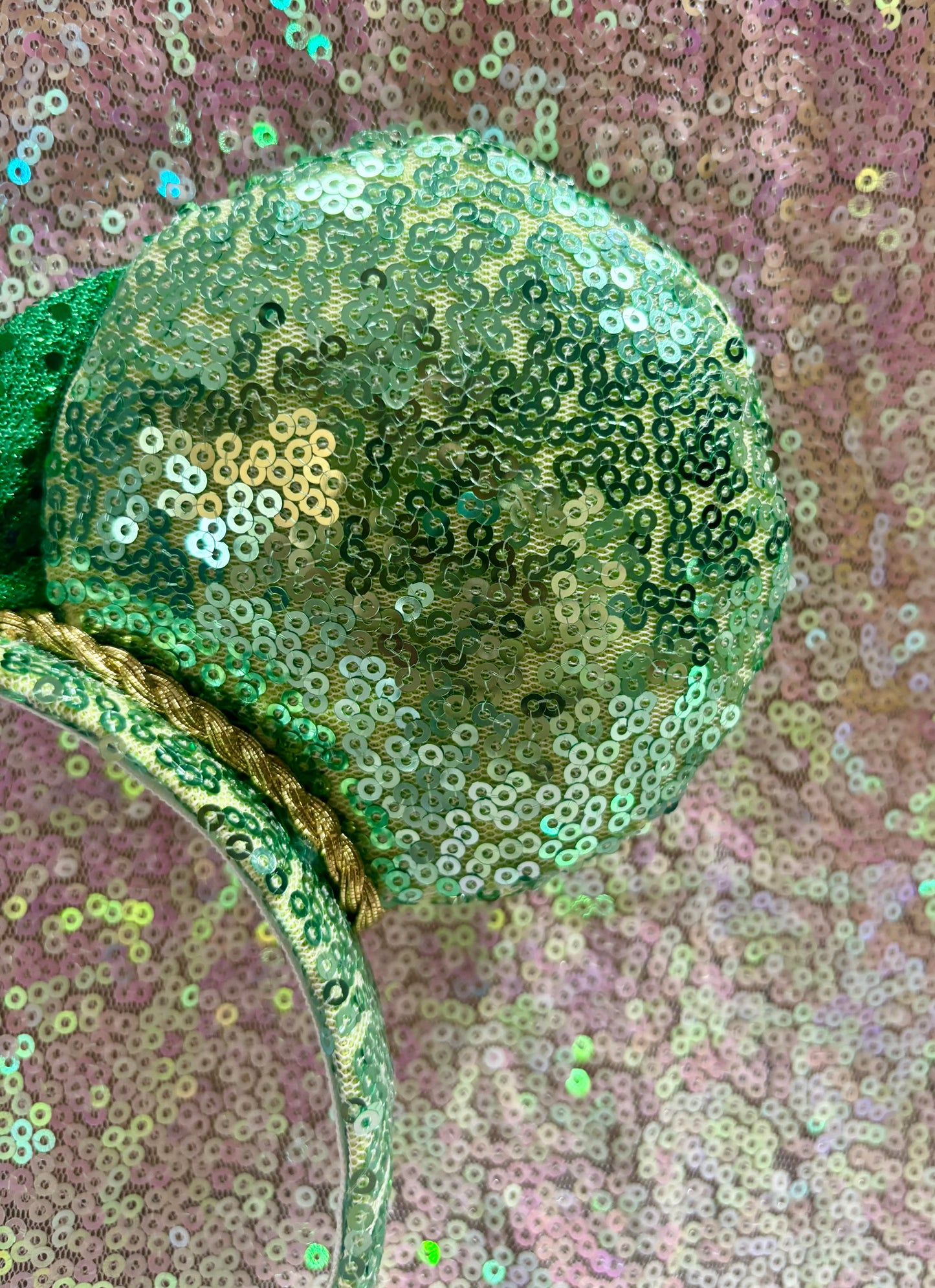 Lucky You Mouse Ears