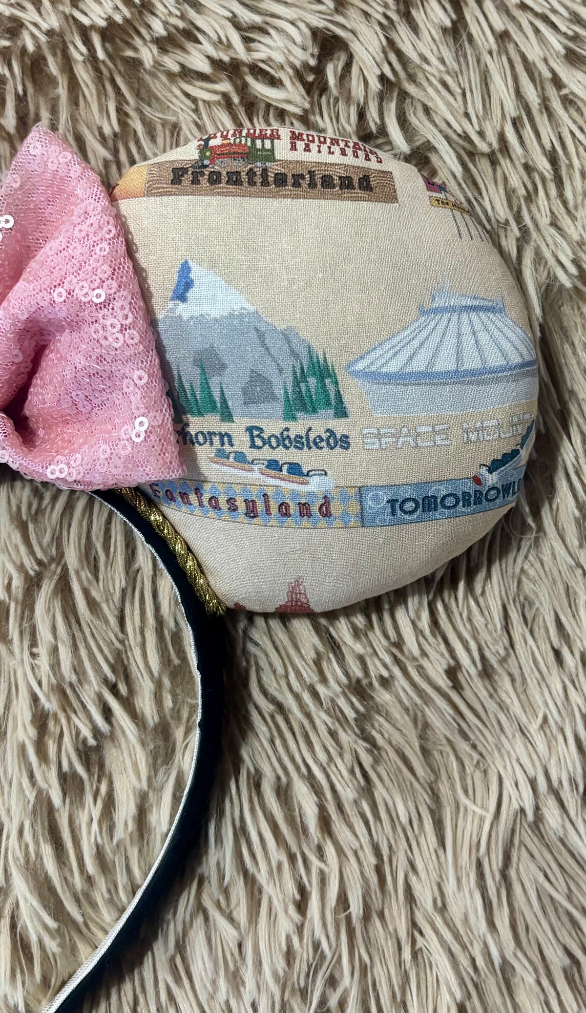 Park Attractions Ears