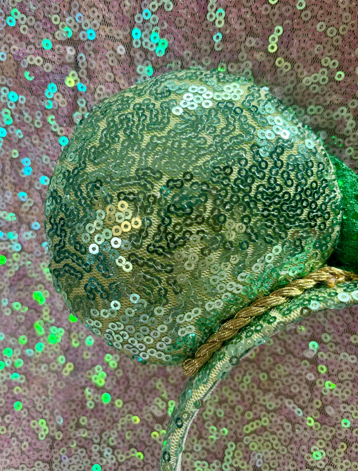 Lucky You Mouse Ears