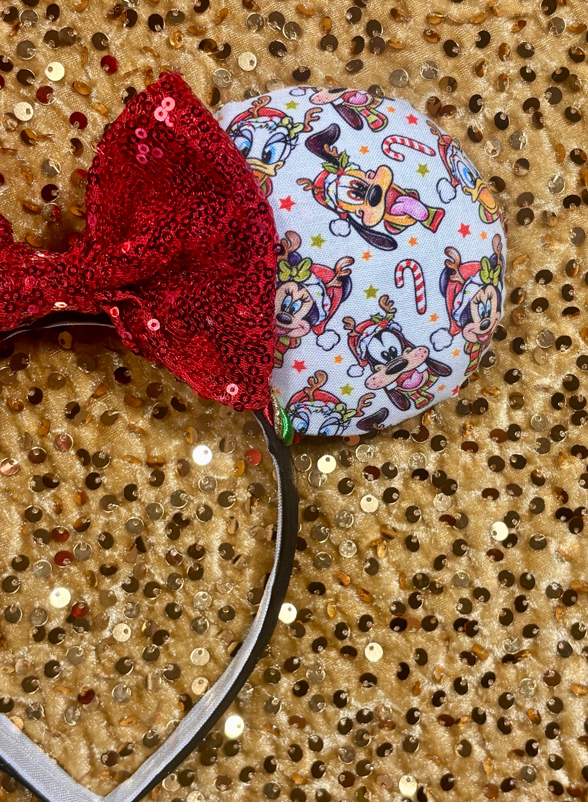 Close up of the front mouse ear. 