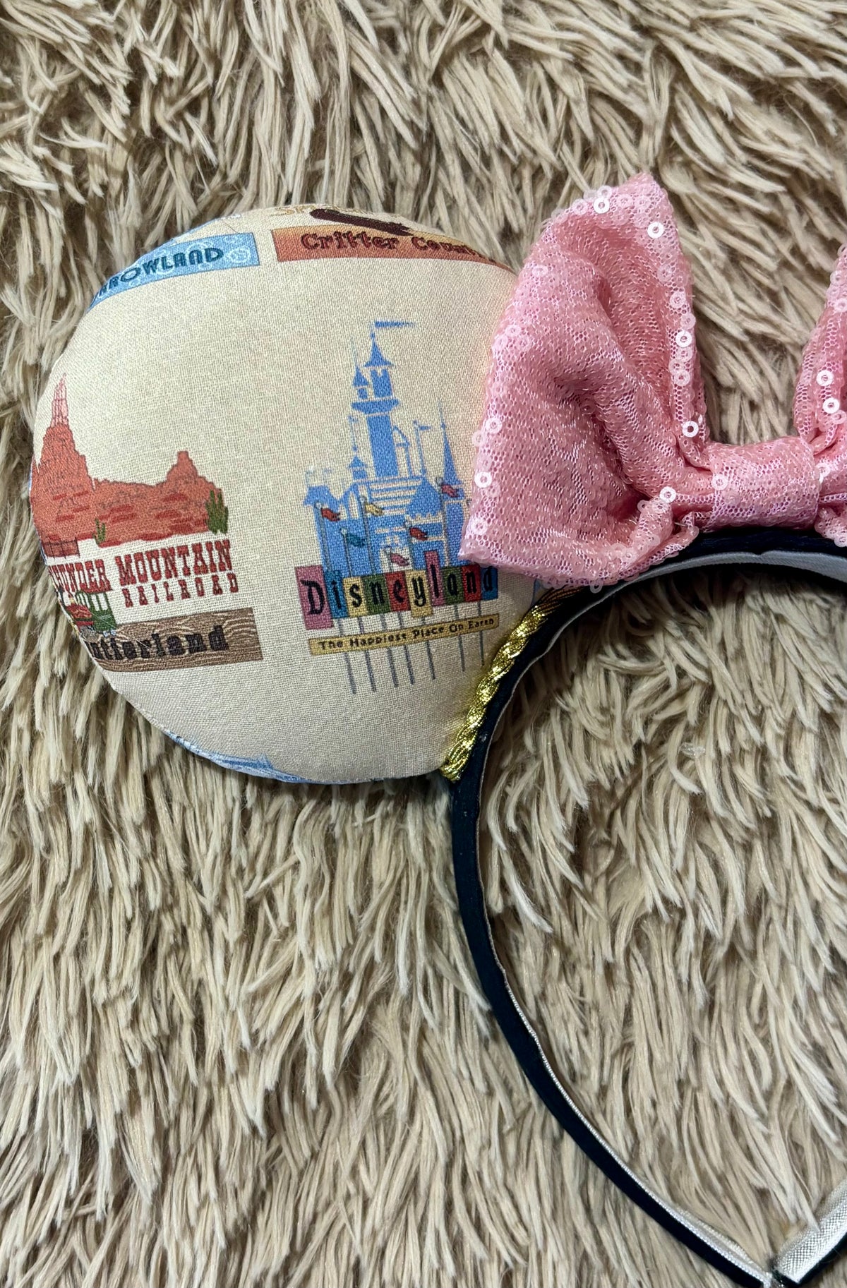 Park Attractions Ears